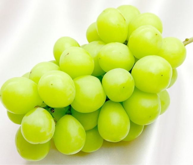 山梨のシャインマスカットの引き出物