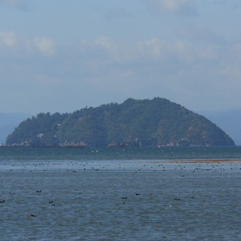 hikica